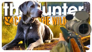 Hunting ducks with my NEW DOG labrador dlc  theHunter Call of the Wild [upl. by Hodges]