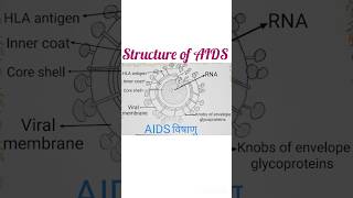 Structure of AIDS ✨full name easy diagram ✨ [upl. by Siegfried]