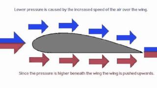 Bernoullis Principle [upl. by Stephana]