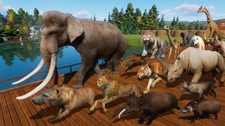 Ancient Animals VS Modern Animals Race in Planet Zoo included Mammoth Smilodon Cheetah amp Tiger [upl. by Niwri5]