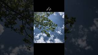 Aankhein teri kitni haseen Maula mere whatsapp Status  Anwar  love feeling whatsapp status [upl. by Enivid22]