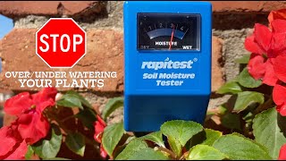 Rapitest Soil Moisture Tester Does It Work 💦🌱 [upl. by Eiryk]