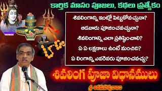 Sivalinga Pooja Vidanamu  శివలింగ పూజా విధానములు  By BrahmaSri Vaddiparti Padmakar Garu [upl. by Yesiad]