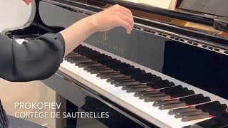 Prokofiev  Musiques denfants Op657 Cortège de Sauterelles ／ プロコフィエフ：「こどものための音楽」Op65より 7 きりぎりす [upl. by Hniv]