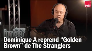 Dominique A reprend quotGolden Brownquot de The Stranglers [upl. by Nilyam755]