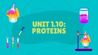 Unit 110 Proteins [upl. by Yevrah]