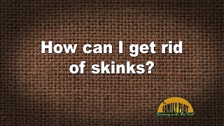 QampA – How do I get rid of skinks [upl. by Noiramed]