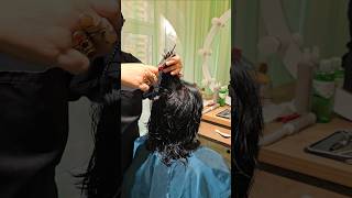 Fresh haircut for women shortsvideo hairstyling hairstyle hair haircut beauty salon shorts [upl. by Joiner579]