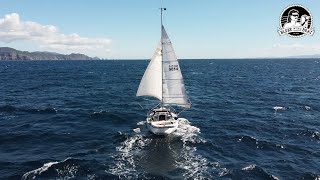 Episode 8 SOLO SAILING New Zealand Whitianga  Port Jackson  Waiheke Island  Coromandel [upl. by Karlee]