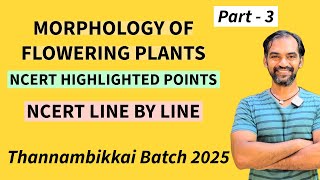 Morphology of Flowering Plants in Tamil  Part 3  TB 2025 [upl. by Ilellan333]