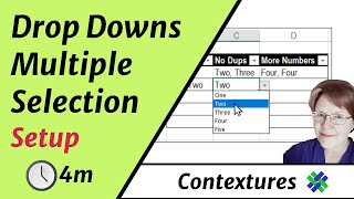 Data Validation Multiple Selection Setup [upl. by Bolitho872]