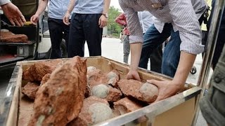 Police seize 213 dinosaur eggs at Chinese home [upl. by Idmann]