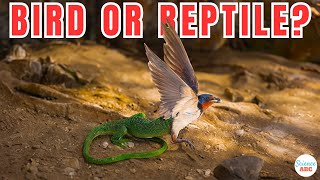 Are Birds Reptiles [upl. by Lorenz636]