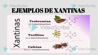 Fármacos Estimulantes del Sistema Cardiovascular [upl. by Atirehc]