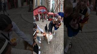 Manchester interactions with my dog youtubeshorts shorts husky manchester pets foryou [upl. by Gil616]