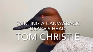 Painting a Canvasback Drake’s Head [upl. by Aehsila]