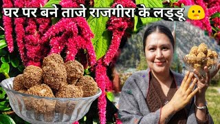 Amaranth Season Rajgira Homemade Laddu Recipe Kinnaur HP [upl. by Hayikat]