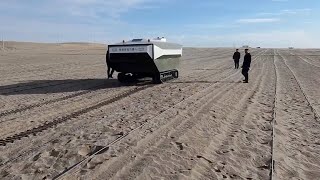 Robot aids desert cultivation of apocynum in Xinjiang [upl. by Bertrand]