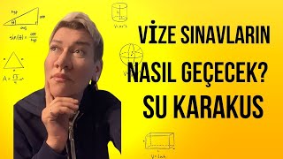 VİZELER NASIL GEÇECEK TAROT AÇILIMI SU KARAKUŞ [upl. by Leirrad]