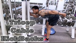 Tricep Cable Kickbacks  Fitness Kensho [upl. by Kassi]