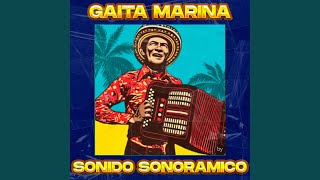 Gaita Marina Sonido Sonoramico [upl. by Ysnap261]