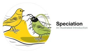 Speciation An Illustrated Introduction [upl. by Asihtal844]