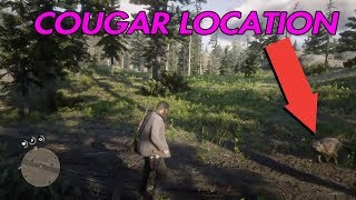 RED DEAD REDEMPTION 2 HOW TO FIND A COUGAR  COUGAR LOCATION [upl. by Nyad952]