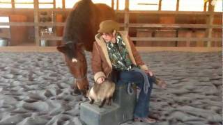 The EquineAssisted EMDR Protocol An Introduction To EquiLateral [upl. by Rexferd]