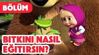 Maşa İle Koca Ayı 🪴 Bitkini nasıl eğitirsin 😋 Bölüm 99 Yeni bölüm 2024💥🎬 [upl. by Yanej]