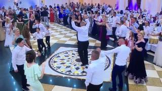 Afrim Muqiqi 2017 dasma shqiptare live [upl. by Koorb]