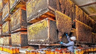 Her front porch column was full of bees the power of 🐝 Bee Farming Honey 🍯 [upl. by Jepum349]