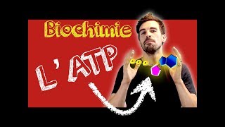 COURS DE BIOCHIMIE LATP présentation générale [upl. by Ladnyc383]