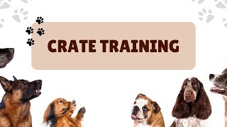 【crate training】 [upl. by Ieso833]