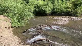 The Gualala River in Northern California [upl. by Ogirdor339]