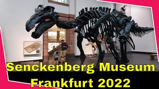 Naturkundemuseum Senckenberg Frankfurt 2022 [upl. by Monaco544]