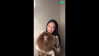 ENG SUB BLACKPINK JENNIE ON WEVERSE LIVE 20241011 [upl. by Llorrac]