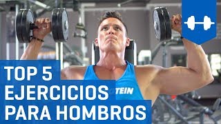 Top 5 Mejores Ejercicios Para Hombros con Mancuernas  Rutina para Deltoides [upl. by Aisset127]