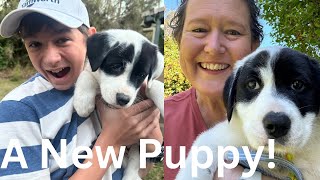 We Got a Puppy [upl. by Zug]