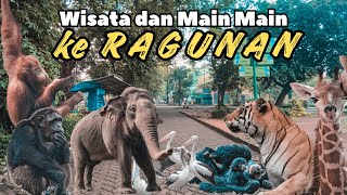 Wisata ke Taman Margasatwa Ragunan di 2024 [upl. by Ritch]