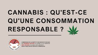 Cannabis  Questce quune consommation responsable  ​ [upl. by Avera]