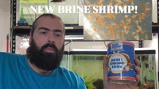 New Brine Shrimp Eggs In The Fishroom [upl. by Aztilay614]