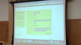 DNA Synthesis DNA Replication by Kevin Ahern Part 6 of 6 [upl. by Sivahc]