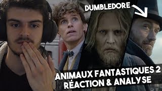 RÉACTION amp ANALYSE  Les ANIMAUX FANTASTIQUES 2  Les Crimes de Grindelwald  TRAILER [upl. by Ecnerewal]