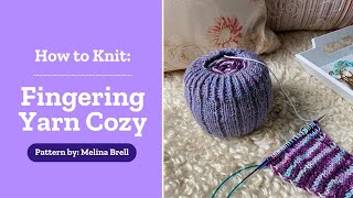 DGY Knitalong Lets Knit a Yarn Cozy with Willie Smith [upl. by Madaras]