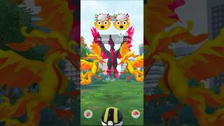 Geting Lucky ✨Galarian Moltres in Pokemon Go pokemongo galarianmoltres [upl. by Nevaed]