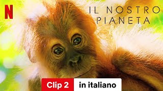 Il nostro pianeta Stagione 1 Clip 2  Trailer in italiano  Netflix [upl. by Tamberg]