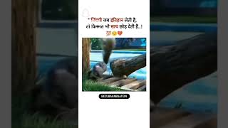 Dekhte hain man ke liye kaun kaun like aur subscribe karte Hainshortvideos [upl. by Aryl]