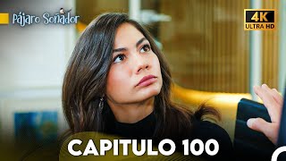 Pájaro Soñador Capítulo 100 Doblado En Español 4K [upl. by Ahsenre564]