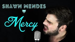 Shawn Mendes  Mercy Cover [upl. by Edik]