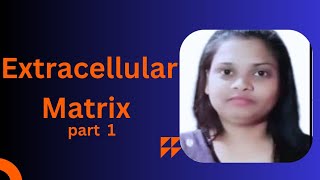 Extracellular Matrix part 1  Components of Extracellular Matrix  Structural Protein  Bsc [upl. by Harihat]